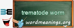 WordMeaning blackboard for trematode worm